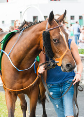 Walking a Race horse in the the parade ring before the race