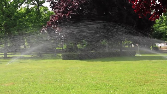 Riego por aspersion en un parque publico con hierba verde setos y arboles de distintas  especies