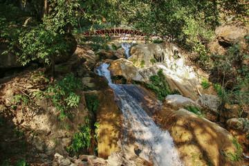 Waterfall in a forest