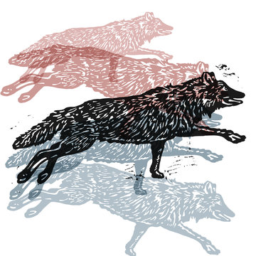 Vector wolves in abstract composition