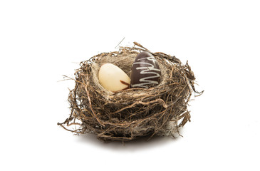 chocolate eggs in the nest isolated