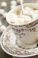 Hot cocoa with marshmallow