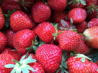 Beautiful red strawberries