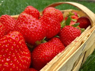 Beautiful red strawberries
