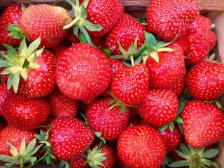 Beautiful red strawberries