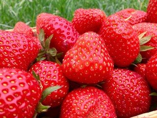Beautiful red strawberries
