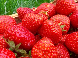 Beautiful red strawberries