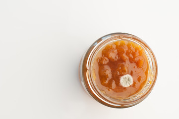 mold peach jam in bottom