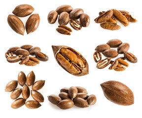 Collection of pecan nuts