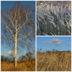 Jaworznicka jesień © Marta