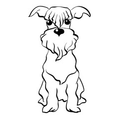 Sketch Funny dog Miniature Schnauzer breed sitting breed hand drawing vector