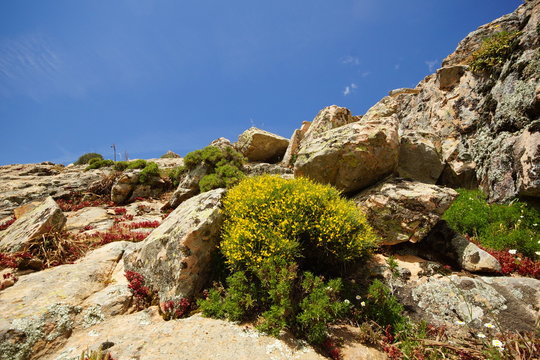 Monte Linas