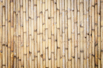 bamboo fence background