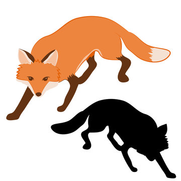 adult red fox silhouette black vector illustration