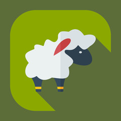 Flat modern design with shadow icons lamb