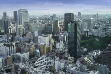 Fototapeta na wymiar Tokyo Skyline, Cityscape of Tokyo City, Japan - Tokyo is the wor