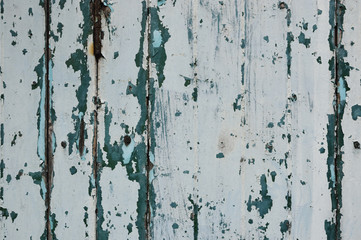 Peeling paint white and green color on old wood wall