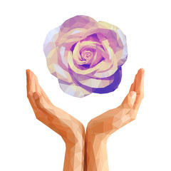 polygonal pink rose on cupped hands