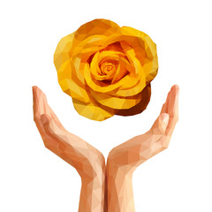 polygonal yellow rose on cupped hands