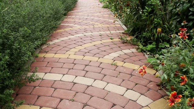 View of the exterior of a contemporary garden. The paved path in the yard.