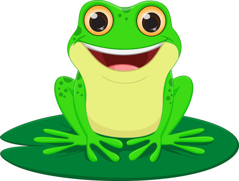 cute Frog cartoon