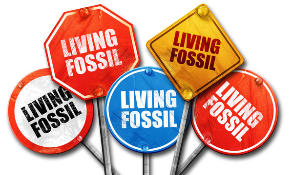 living fossil, 3D rendering, street signs
