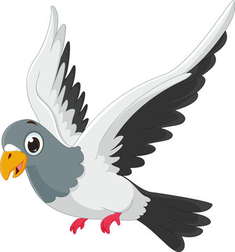 cute pigeon cartoon flying