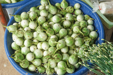 frash cockroach berry in a blue enameled bowl at thai market