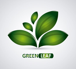 Green design. leaf icon. White background, graphic vector