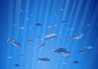 Blue fish pack underwater
