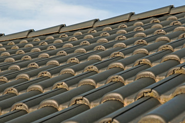 Dachsanierung, Dachdeckung, Dachziegel