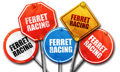 ferret racing, 3D rendering, street signs