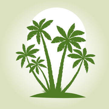 Green Palm Trees. Vector illustration.
