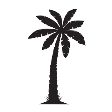 Black Palm Tree. Vector illustration on white background.
