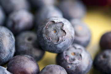 Fresh Bilberries. Close-up background. Macro.