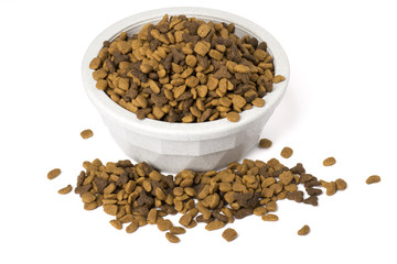 Bowl of dry cat food overflowing