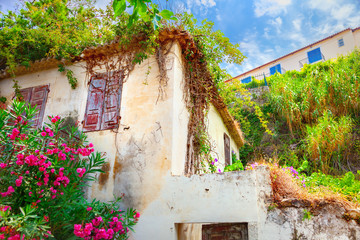 Fototapety na wymiar - Fototapeta24.pl