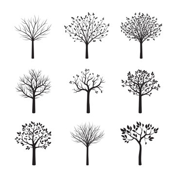 Set of Black Trees. Vector Illustration.