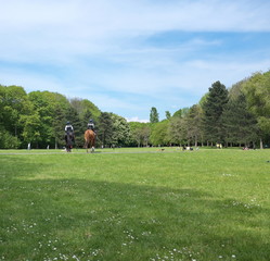 Pelouse de jardin public avec policiers &agrave; cheval.