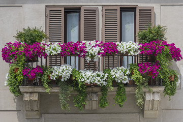 Fototapeta na wymiar Window with flowers in italy