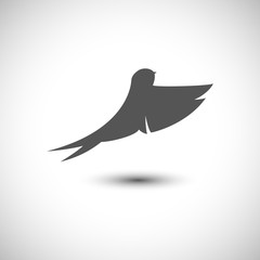 Silhouette of Swallow