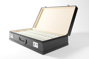 Suitcase with banknotes