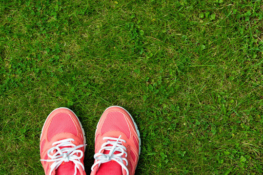 Fitness concept, pink sneakers on green grass, top view