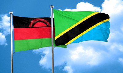 Malawi flag with Tanzania flag, 3D rendering