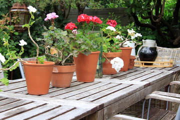 Picnic table outside with geraniums and a tray with a stoneware jug and glasses.