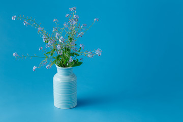 Forget me not flowers in a vase