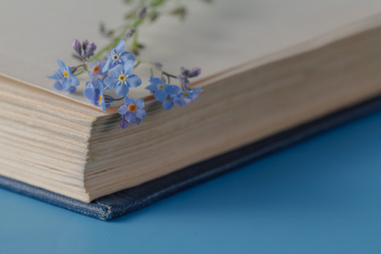 Fototapeta Bunch of forget-me-nots flowers and very old book