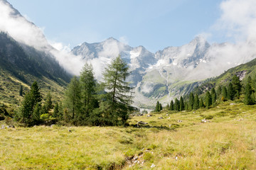 Fototapeta na wymiar herrliche Berglandschaft in Österreich
