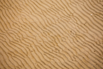 Fototapeta na wymiar Beach sand ripples