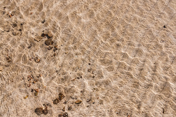transparent water ripple, sand waves and sunlight glare. sea floor background